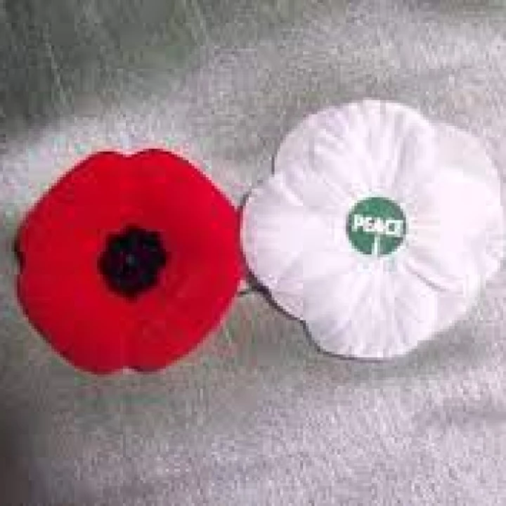 AMC poppies 2