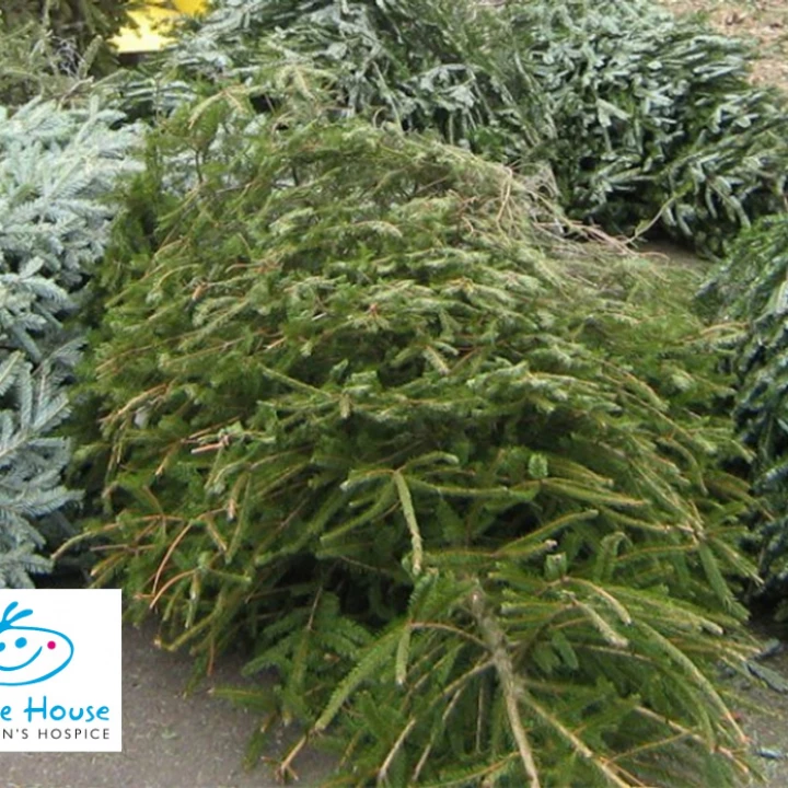 Claire House Christmas Tree Recycling