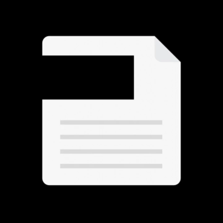 BR PC External Auditor