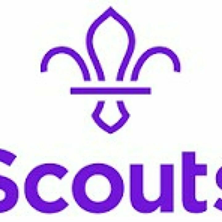 Scouts Logo