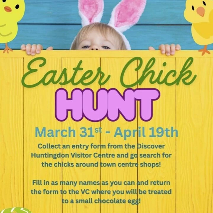 Easter Chick