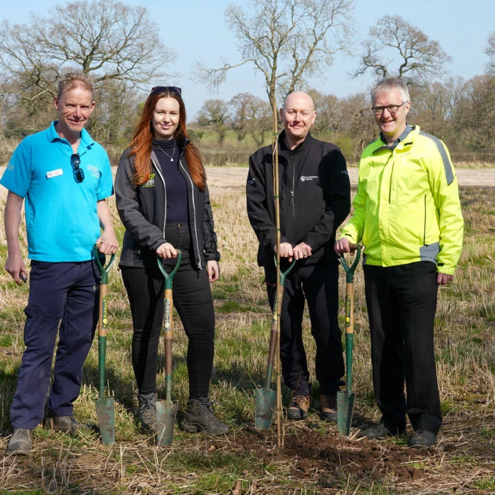 Endangered Trees Rehoming