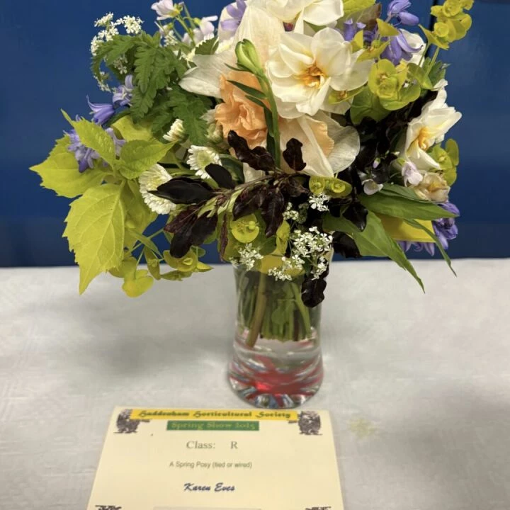 Spring Show Posy