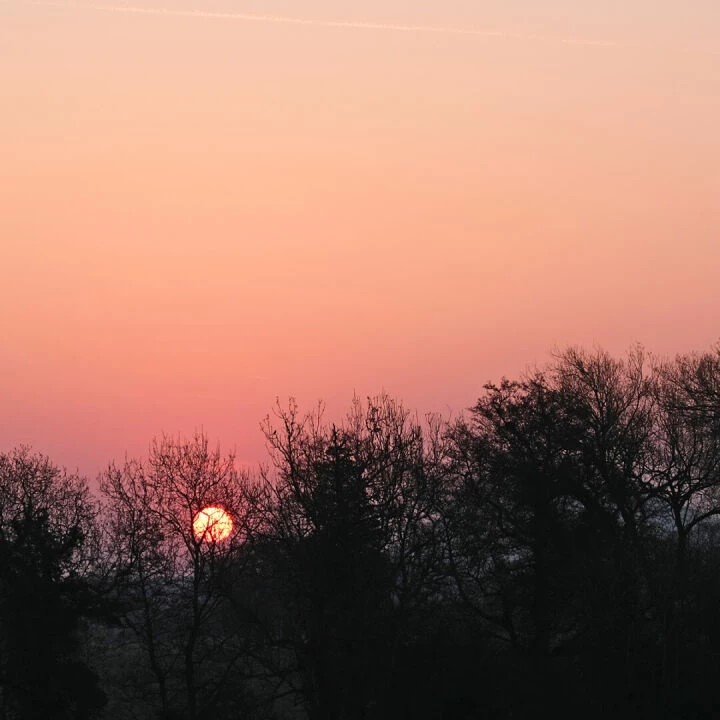 RR by Dawn's Early Light F7038