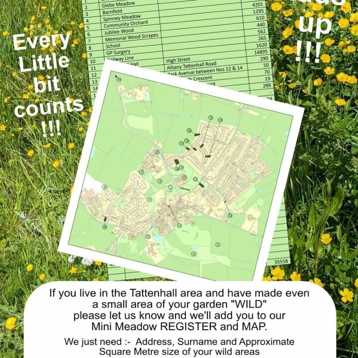Mini Meadows Project