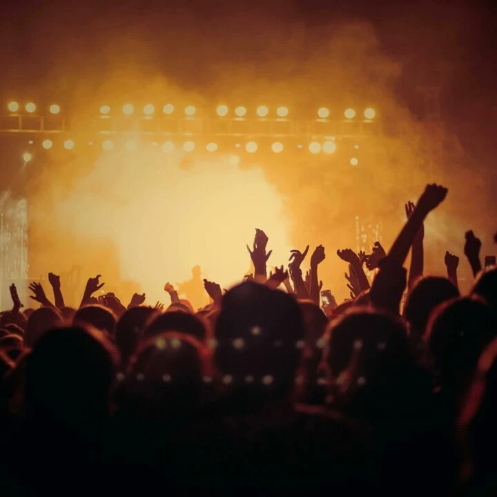 Energetic music concert with a vibrant crowd cheering under bright stage lights.