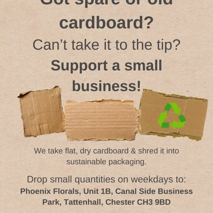 Cardboard