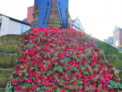 memorial poppies 2
