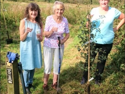 Celebrate the planting of the first tree – Sept 2020
