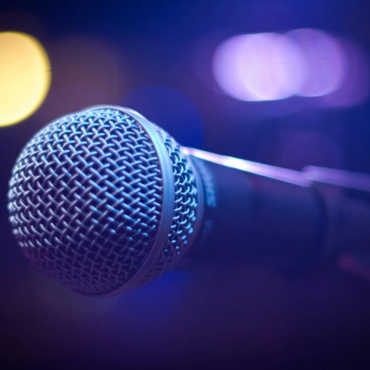 Tilt Shift Photograph of Gray and Black Microphone