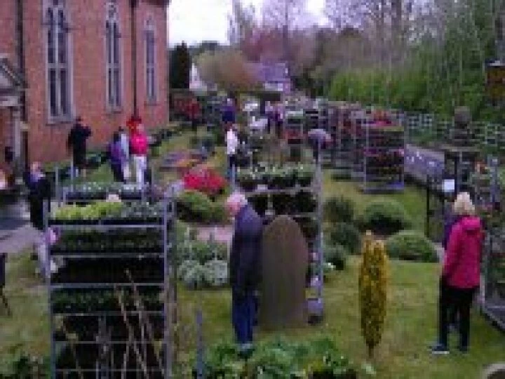 2015 Plant sale