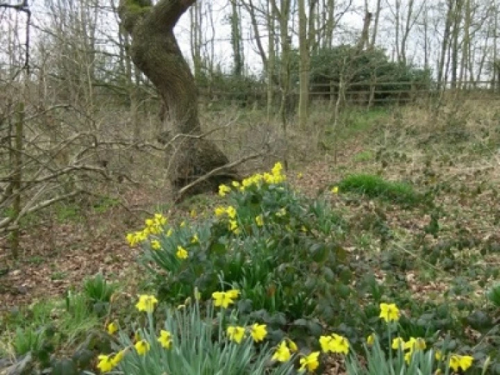 Spring 3