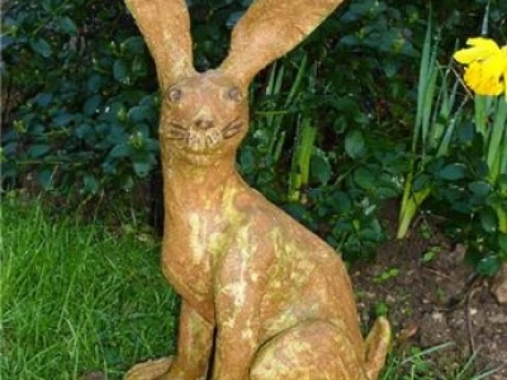 JB Hare