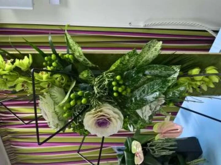 Flower Club Jan 2017 Wp_20170111_21_31_22_pro
