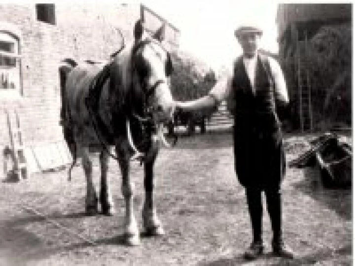Tarvin People