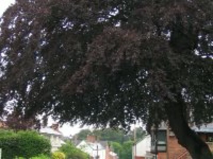 Lower High St