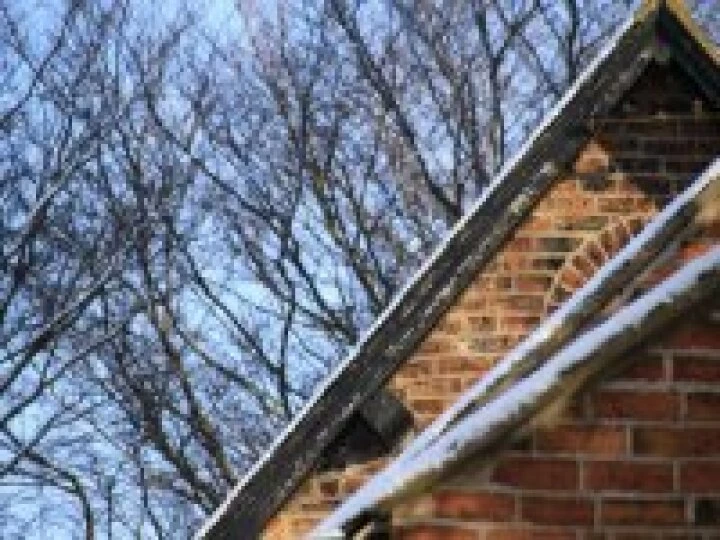 roof tops