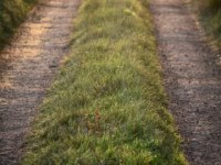 Track