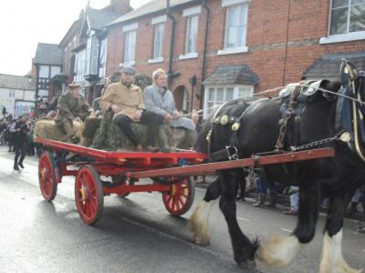 Parade 8