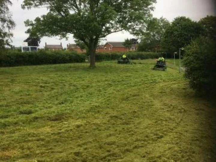 TCC Grass Cutting