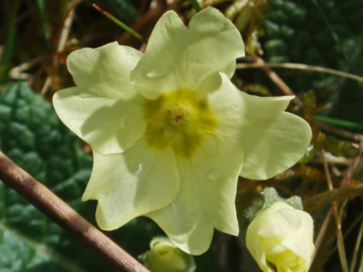 P7061700