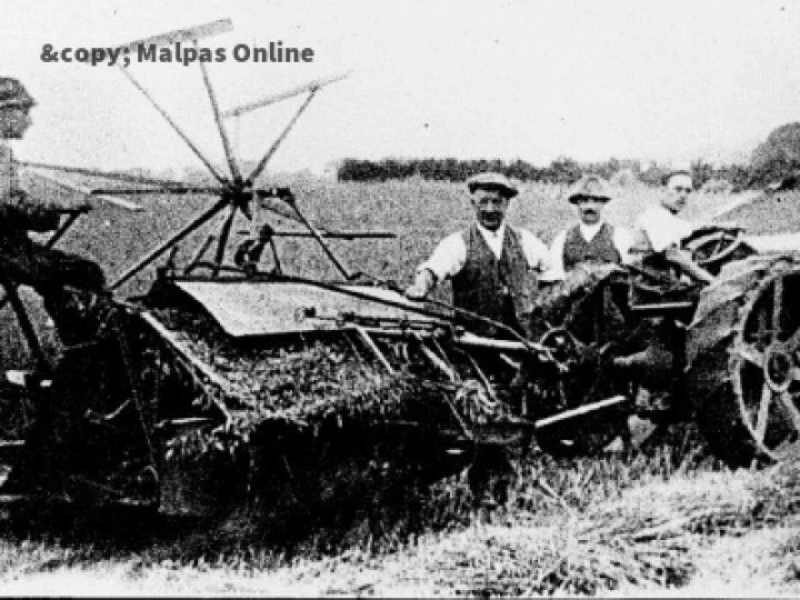 Corn cutting with a Binder and a Fordson Tractor