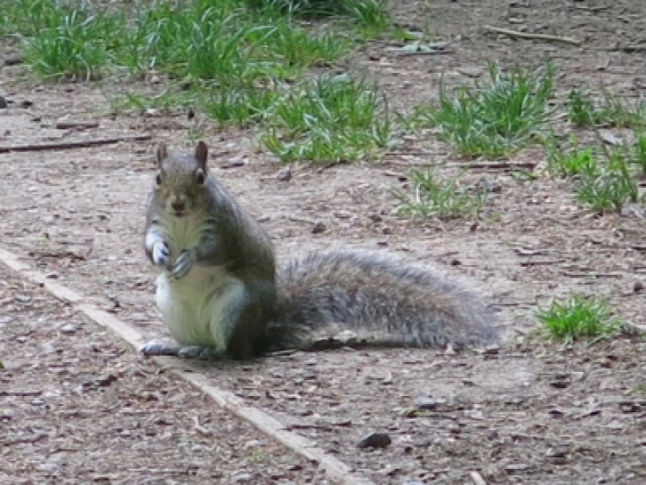 TWW Photos May 2020 Fullsizeoutput_2cb7