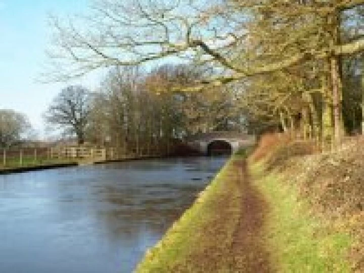Canal at Cheshire – Shropshire border south of Audlem