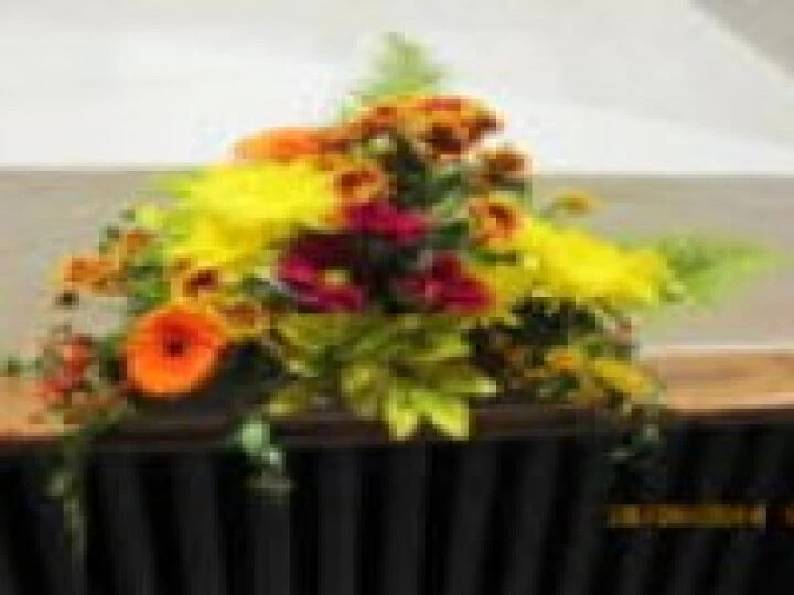 Harvest 6