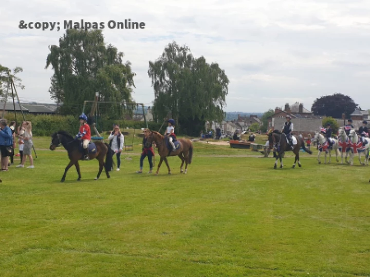 Horses on Rec