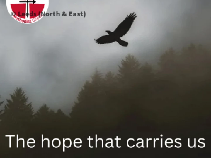 The hope that carries us- (Facebook Cover)