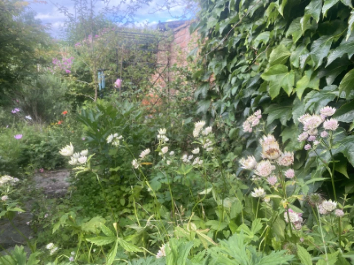 Open Garden Weekend 2