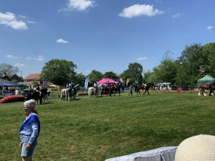 Horses Nd
