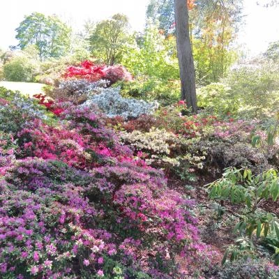 bodnant gardens