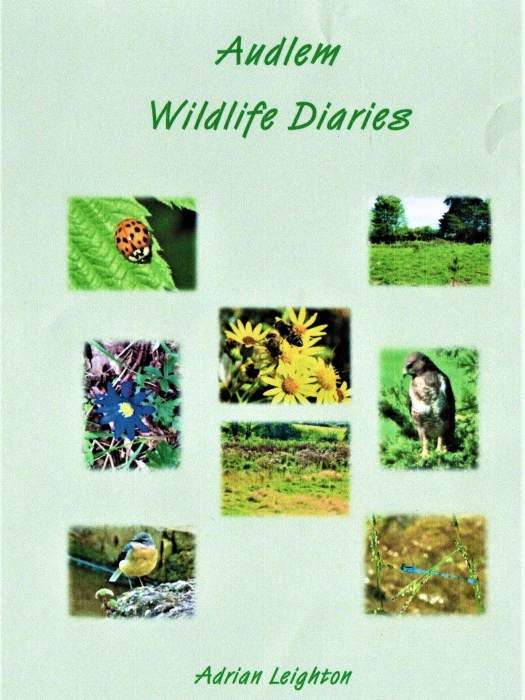 book cover 1