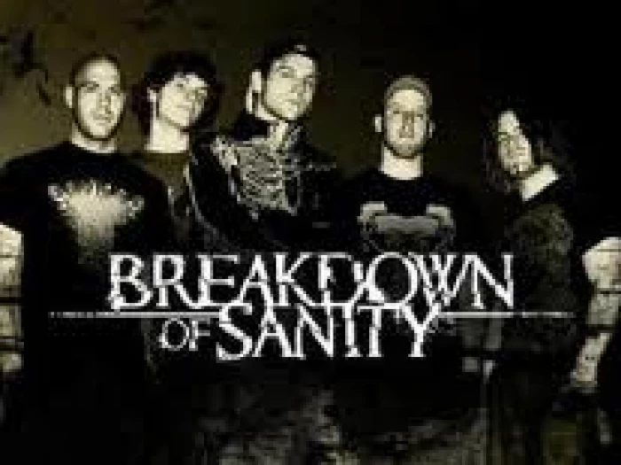 breakdown of sanity