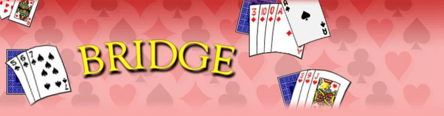 bridge4