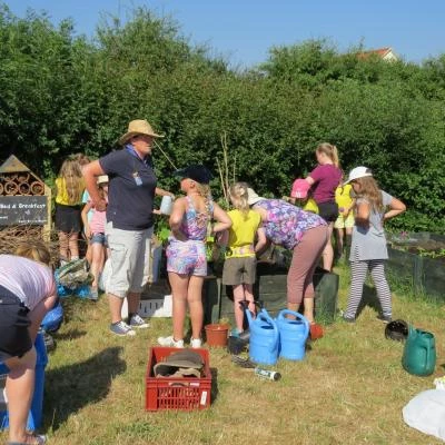 brownies-allotment-july-2018-7