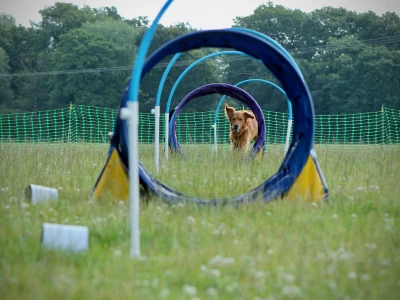 buddy tunnel