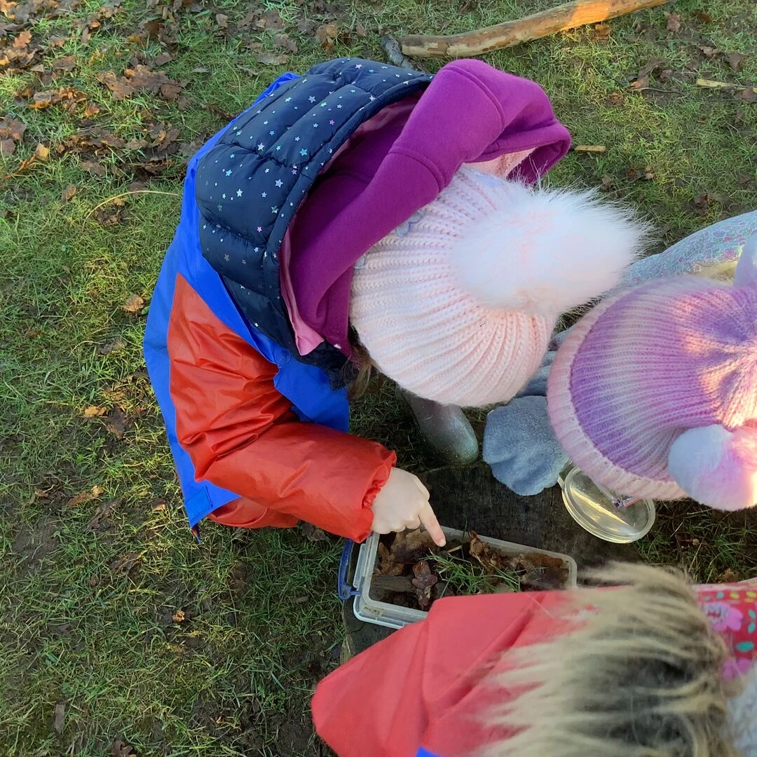 bug hunting
