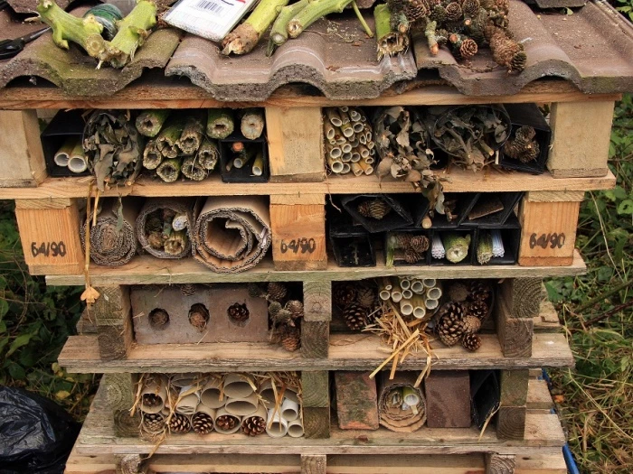 bugs hotel at the allotments