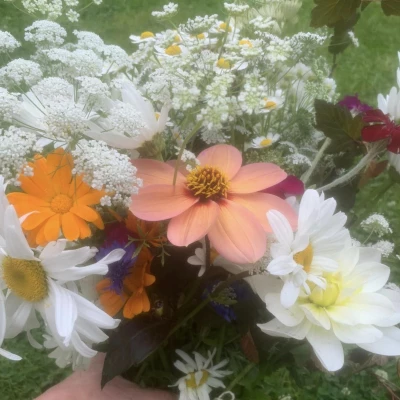 bunch flowers
