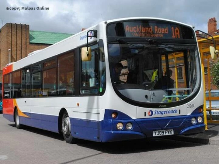 bus