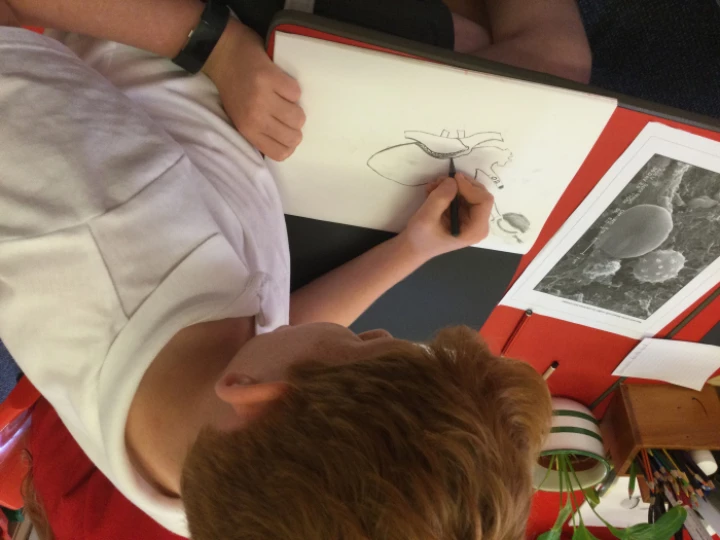 c029a1a3a229447883d138f3429622cc