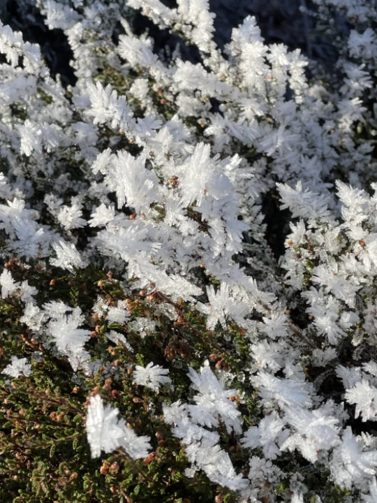 c5983a02a374405d87a8095274b28119