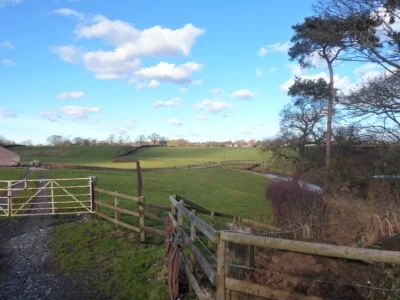 canal walk january 2013 16