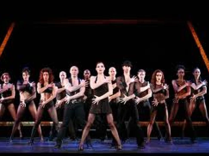 cast of chicago