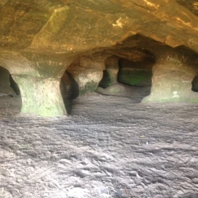 cave frod