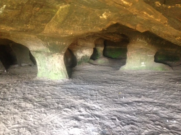 cave frod