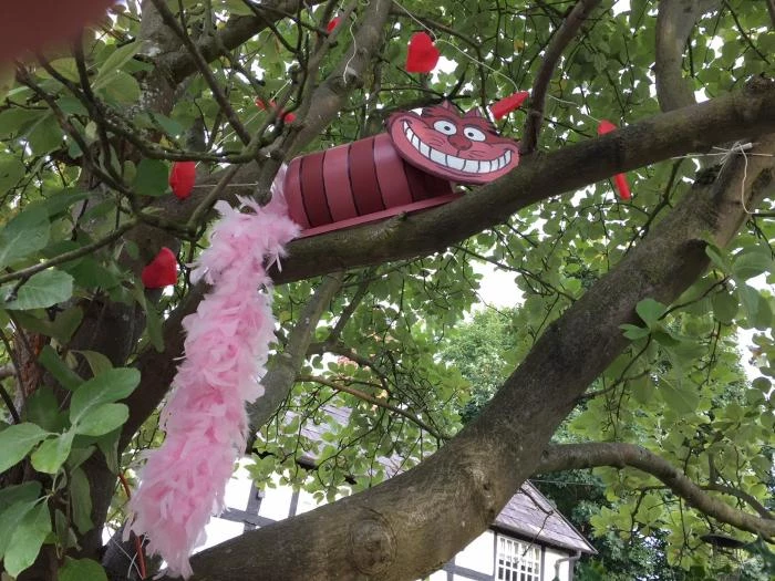 cheshire cat madness